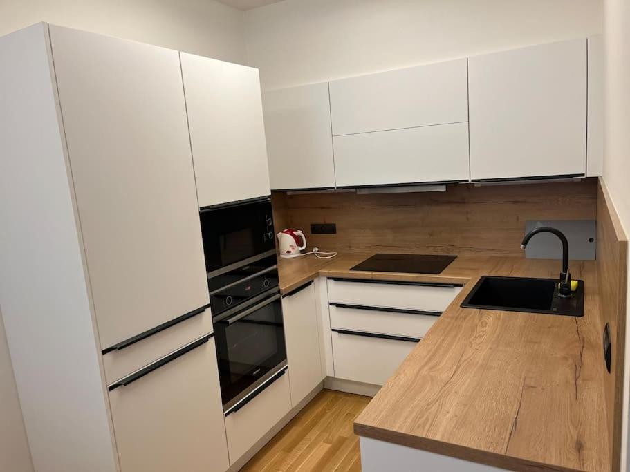 Apartman Holesovice,Balkon,Garaz プラハ エクステリア 写真