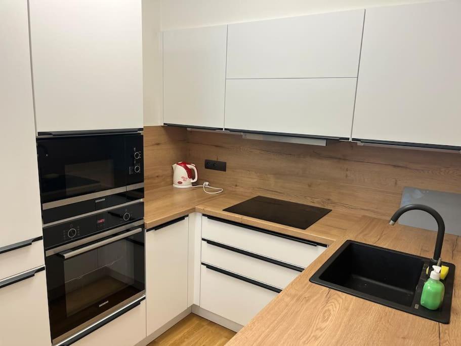 Apartman Holesovice,Balkon,Garaz プラハ エクステリア 写真