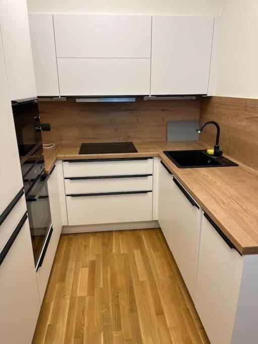Apartman Holesovice,Balkon,Garaz プラハ エクステリア 写真