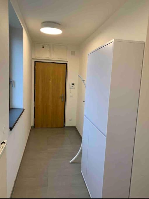Apartman Holesovice,Balkon,Garaz プラハ エクステリア 写真