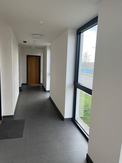Apartman Holesovice,Balkon,Garaz プラハ エクステリア 写真